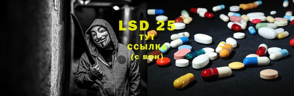 индика Балабаново