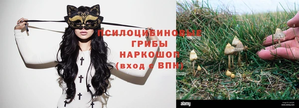 СК Аркадак