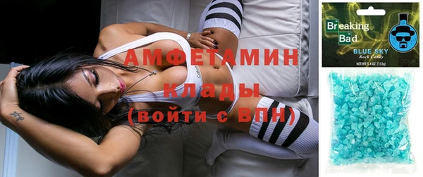 индика Балабаново